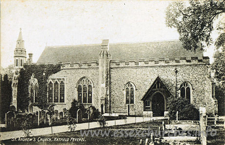 , Hatfield%Peverel Church - 


J. P. Green, Chelmsford.










