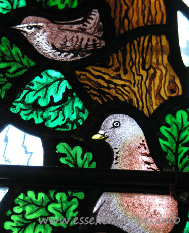 All Saints, Nazeing Church – Detail from Peter Cormack glass, showing a wren and the head and breast of a pigeon.