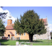 St Mary the Virgin, Tilty Church - Another fine Essex church under threat from airport expansion 
plans [at the time of writing, St Laurence & All Saints, Eastwood was also under 
threat].
At this church, the threat is from the Stansted Airport 
expansion.
Here we see Tilty church from the south, rather obscured!
