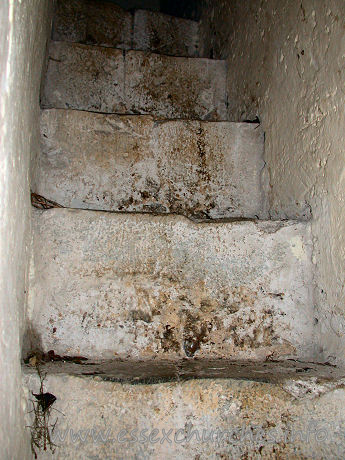 , Beauchamp%Roding Church - The rood stairs.