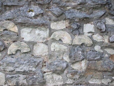 St Mary & All Saints, Great Stambridge Church - According to ecclesiological historian
John Vigar, these 
strange round shapes are sections of either a pillar, or a pillar piscina.
They have been used as rubble during the construction (or 
repair) of the N chancel wall.
