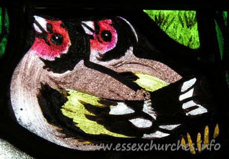 All Saints, Nazeing Church - Detail from Peter Cormack glass, showing two goldfinches.
