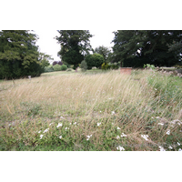 St Margaret, Markshall Church - View from just to the left of southernmost part of hexagonal church structure. See stonework in grass, along with Google mapping satellite view in map below.